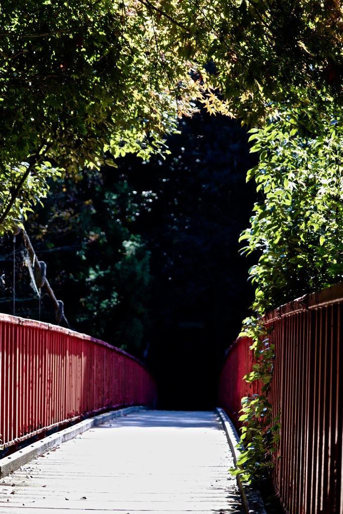 王滝渓谷を散策_４