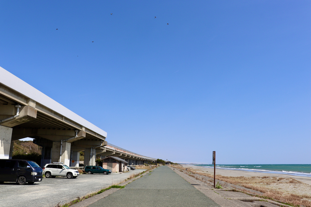 海岸線