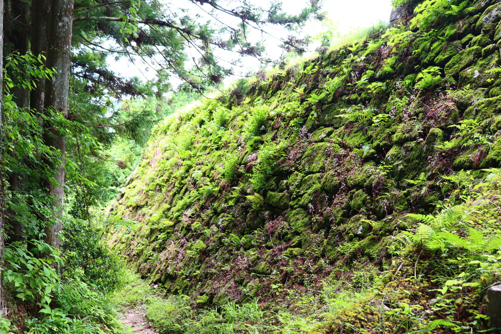 岩村城　その４