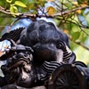 弘法山　遍照院_４
