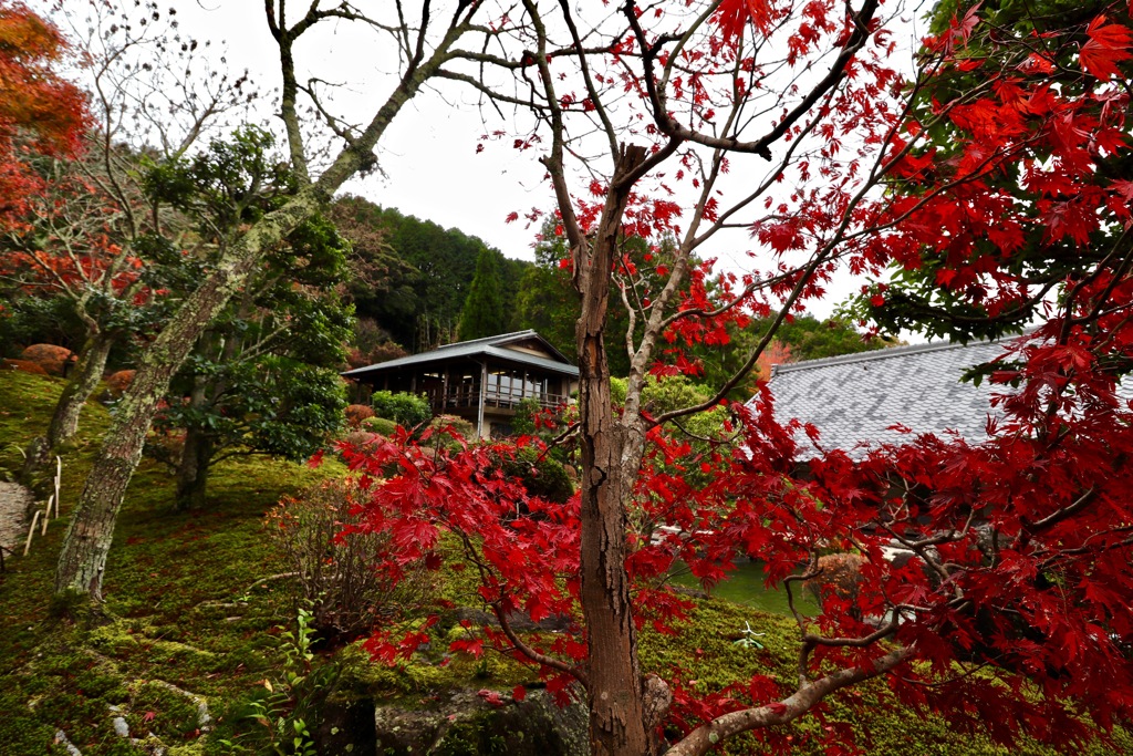 奥殿陣屋　庭園