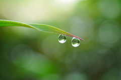 二つの水玉