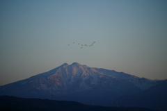 夕陽を浴びる鳥海山と寝床に戻る鳥たち