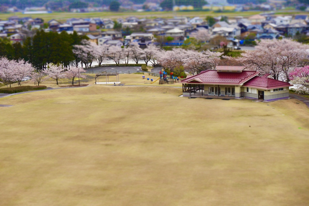 いつもの春の風景