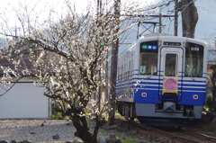 えちてつと梅4