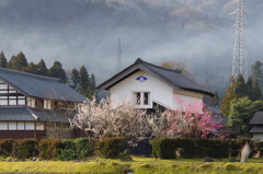 蔵と梅