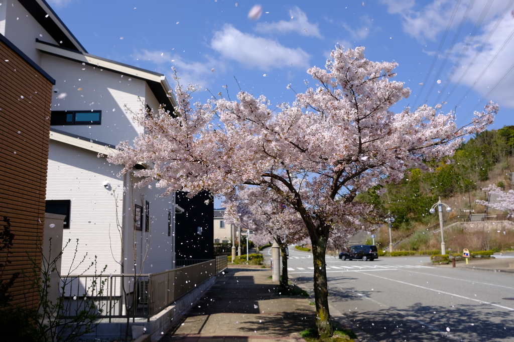 DSCF4492　西宮名塩東山台にて