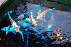 京都七条