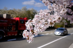 DSCF4474　西宮名塩東山台にて