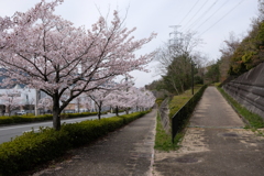 DSCF4555　名塩にて