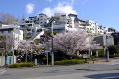 DSCF4468　西宮名塩東山台にて