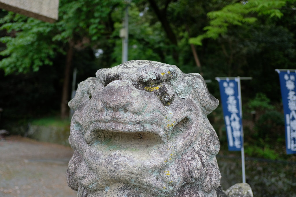 DSCF5330　名塩八幡神社の獅子　阿像