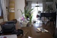 DSCF4665　ｐｒｏｎｅｇｓｔｄ