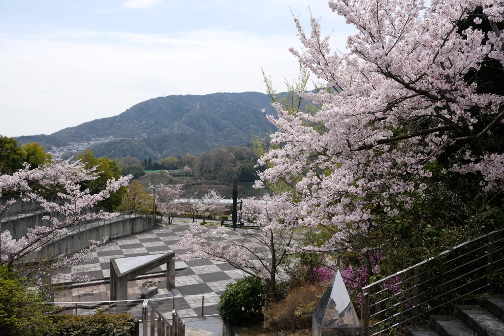 DSCF4535　名塩東山台にて