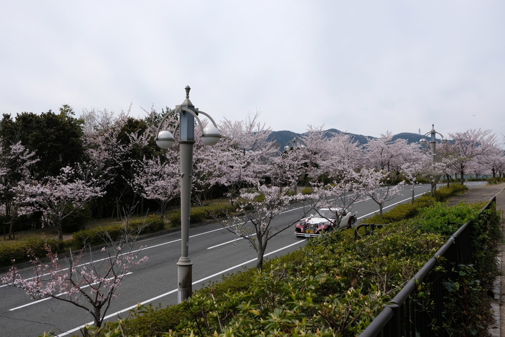 DSCF4556　名塩にて　高級車と