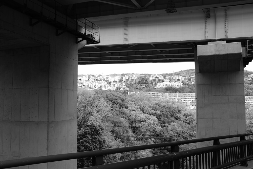 DSCF4920　名塩新旧 (2)