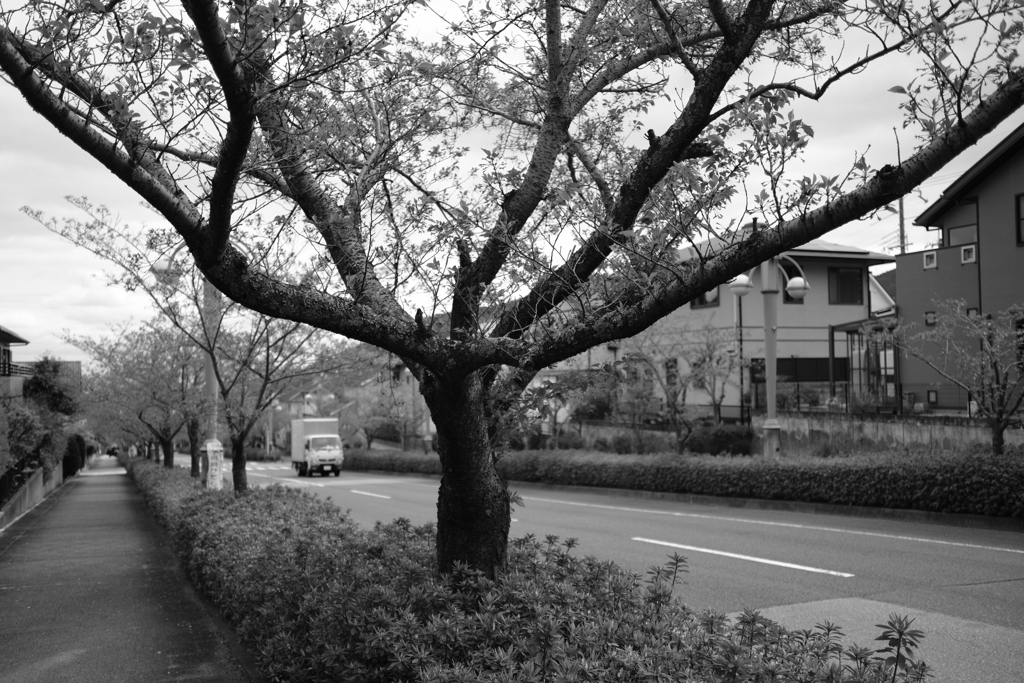 DSCF4887　名塩新旧