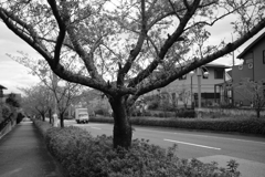 DSCF4887　名塩新旧