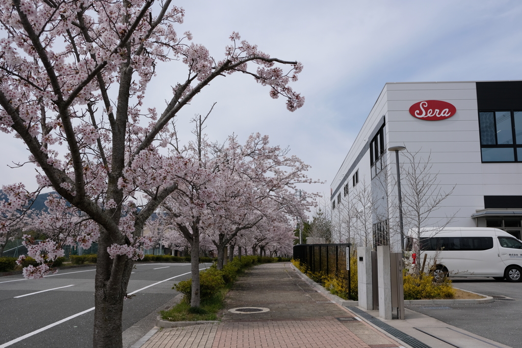 DSCF4559　名塩東山台にて　工場前