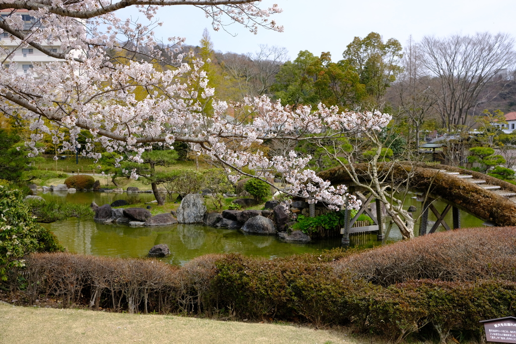 DSCF4454　神戸しあわせの村　日本庭園にて