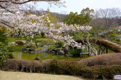 DSCF4454　神戸しあわせの村　日本庭園にて