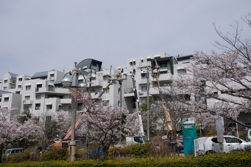 DSCF4528　名塩東山台にて
