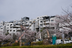 DSCF4528　名塩東山台にて