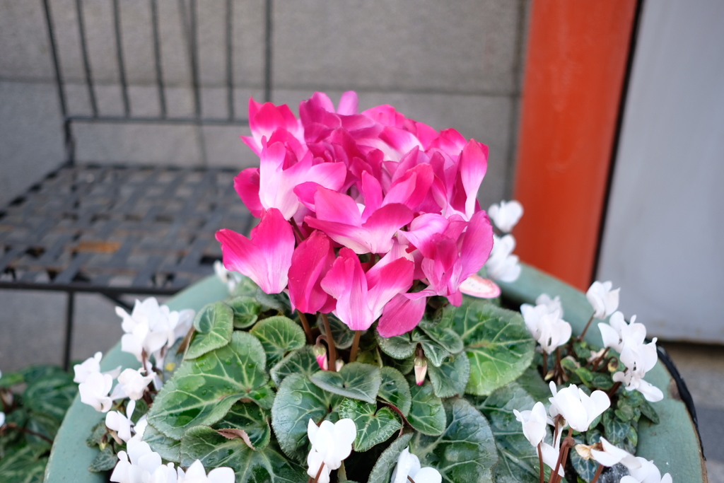 ＪＲ西宮付近