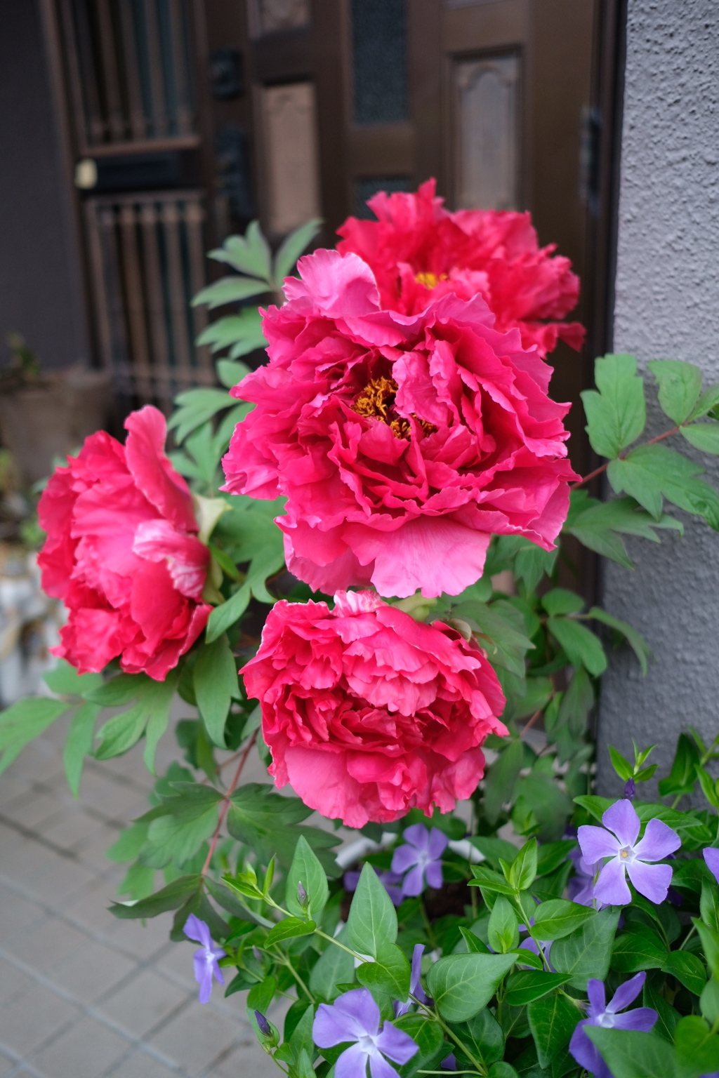 1B55FD63-6A8C-4CEC-BD5E-F2F7AA87C591