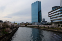 大阪城公園にて