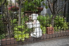 DSCF4898　名塩新旧