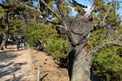 夙川公民館にて