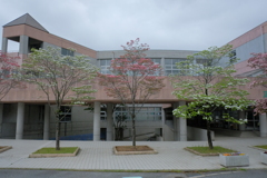 DSCF5302　東山台小学校