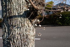 近所の公園にて