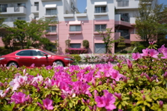 DSCF5261　ナシオンにて