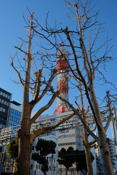神戸新開地にて