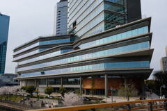 大阪城公園にて