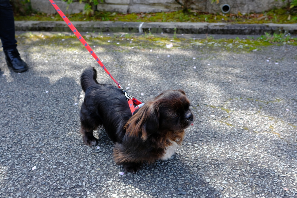 DSCF4520　モズク君