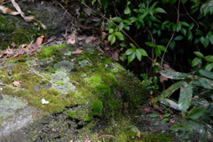 DSCF4171 名塩新旧