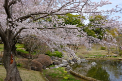 DSCF4449　神戸しあわせの村　日本庭園にて