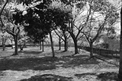 DSCF4411 神戸しあわせの村