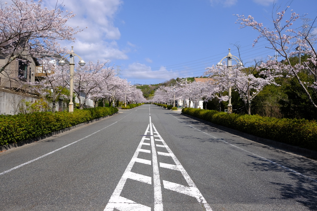 DSCF4480　西宮名塩東山台にて