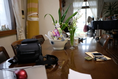 DSCF4660　プロビア