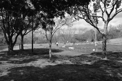 DSCF4420 神戸しあわせの村