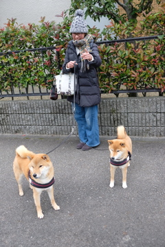 ご近所の犬友さん