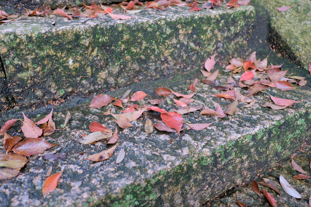 DSCF5339　名塩八幡神社の階段