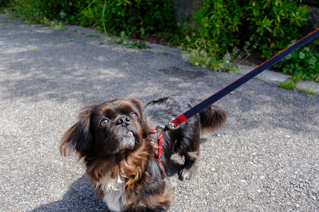 DSCF4522　モズク君