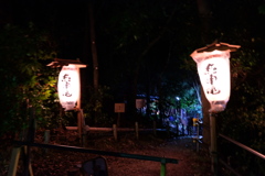いつも裏から初詣です。