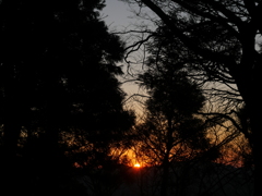 英彦山の夕日
