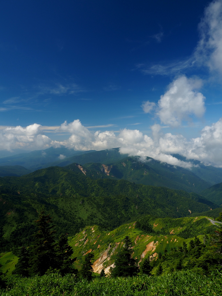 夏山